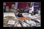 2_Marco-Montagner-CHIOGGIA-MERCATO-DEL-PESCE-01