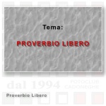 13-Tema-Libero